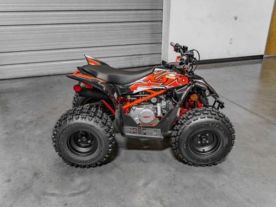 2025 Kayo Predator 125 EFI - Photo 6