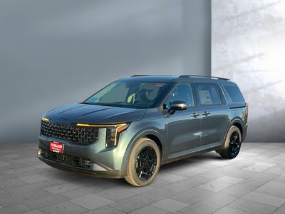 2026 Kia Carnival Hybrid — photo 23 view