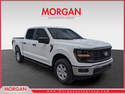 2026 Ford F-150 XL in White — front three-quarter view