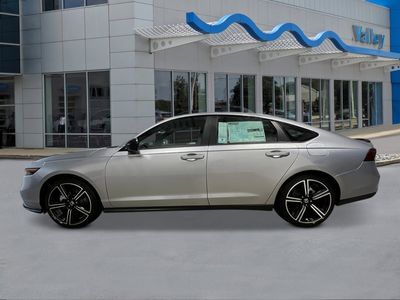 2026 Honda Accord Hybrid — side profile view