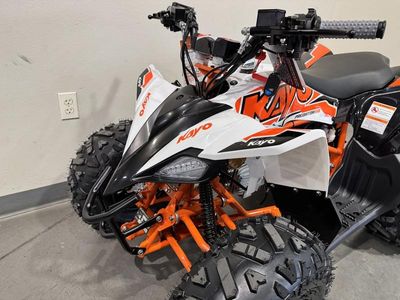 2026 Kayo Predator 110 - Photo 15