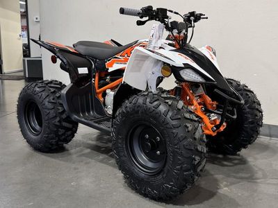 2026 Kayo Predator 110 - Photo 2