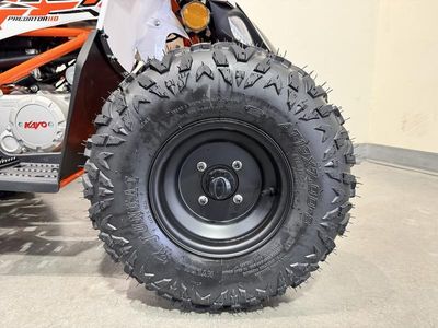 2026 Kayo Predator 110 - Photo 14