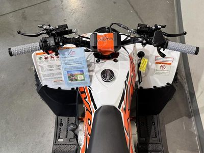 2026 Kayo Predator 110 - Photo 19