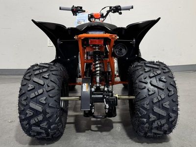 2026 Kayo Predator 110 - Photo 8