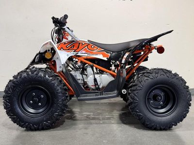 2026 Kayo Predator 110 - Photo 5