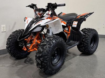 2026 Kayo Predator 110 - Photo 4