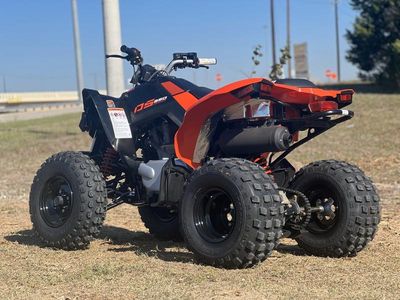 2026 Can-Am DS 250 — engine compartment view