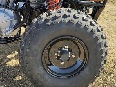 2026 Can-Am DS 250 — photo 14 view