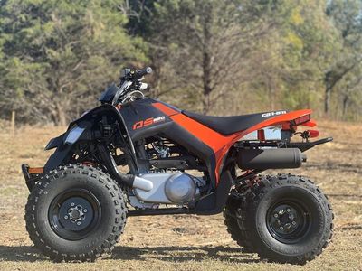 2026 Can-Am DS 250 — photo 9 view