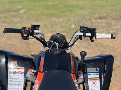 2026 Can-Am DS 250 — photo 11 view