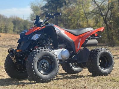 2026 Can-Am DS 250 — side profile view