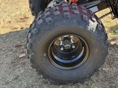 2026 Can-Am DS 250 — photo 13 view