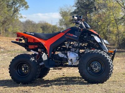2026 Can-Am DS 250 — photo 8 view