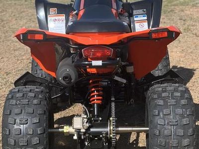 2026 Can-Am DS 250 — photo 7 view