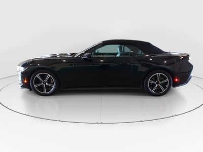 2024 Ford Mustang - Photo 4