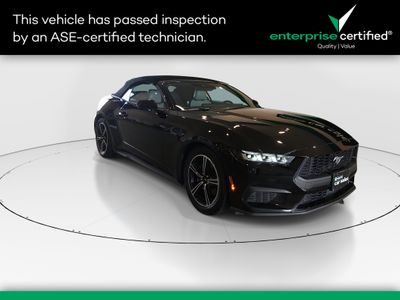 2024 Ford Mustang - Photo 1