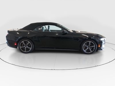 2024 Ford Mustang - Photo 8
