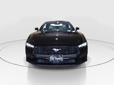 2024 Ford Mustang - Photo 2
