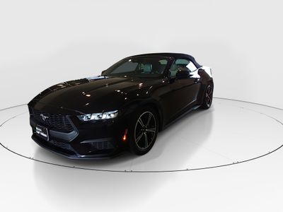 2024 Ford Mustang - Photo 3