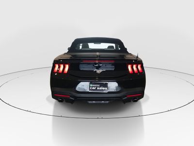 2024 Ford Mustang - Photo 6