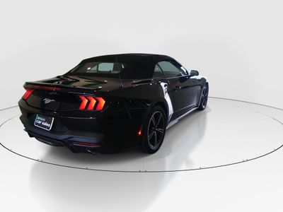 2024 Ford Mustang - Photo 7