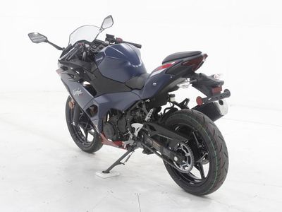 2026 Kawasaki Ninja 500 - Photo 4