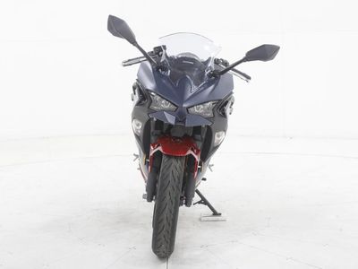 2026 Kawasaki Ninja 500 - Photo 3