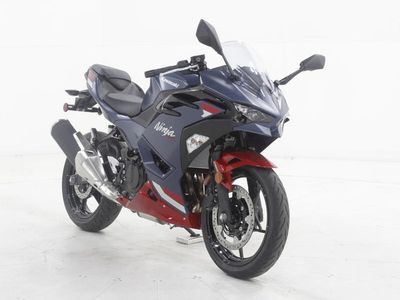 2026 Kawasaki Ninja 500 - Photo 1
