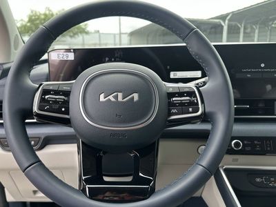 2026 Kia Carnival Hybrid — photo 13 view
