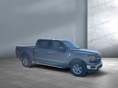 2024 Ford F-150 — photo 8 view