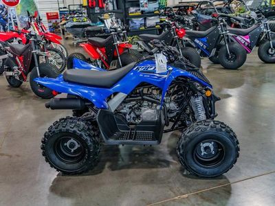 2026 Yamaha Raptor 110 - Photo 2