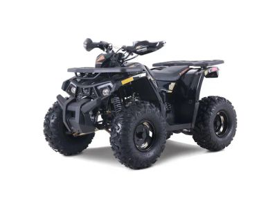 2026 Denago Powersports Mudhawk 10 FI — front three-quarter view