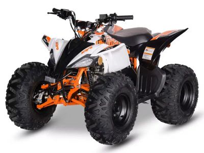 2026 Kayo Predator 110 - Photo 4
