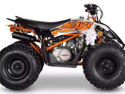 2026 Kayo Predator 110 - Photo 1