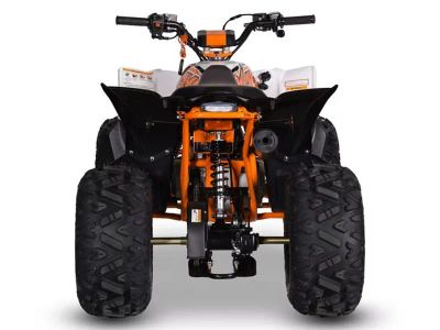 2026 Kayo Predator 110 - Photo 8