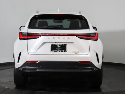 2023 Lexus NX - Photo 2
