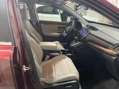 2019 Honda CR-V — photo 15 view
