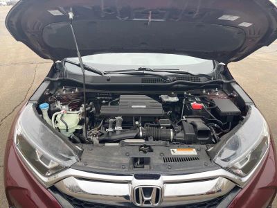 2019 Honda CR-V — photo 22 view