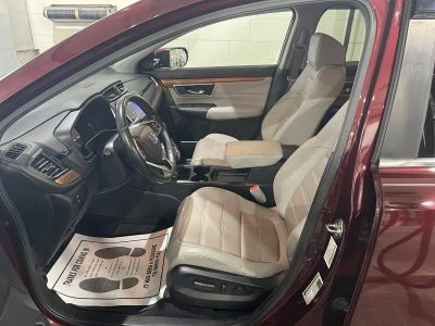 2019 Honda CR-V — photo 9 view