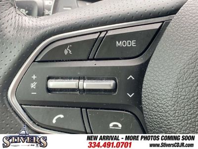 2021 Hyundai Palisade — photo 61 view