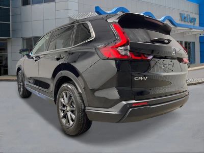 2026 Honda CR-V — rear three-quarter view