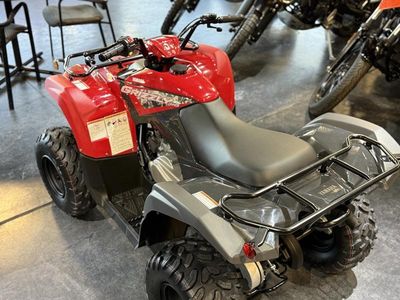 2025 Yamaha Grizzly 110 — detail view