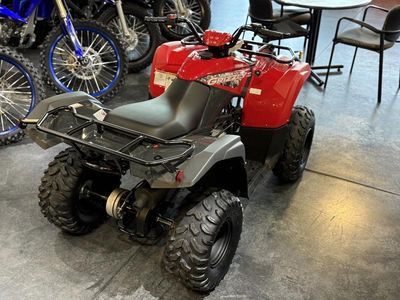 2025 Yamaha Grizzly 110 — interior view