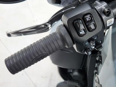 2025 Indian Motorcycle Roadmaster PowerPlus Dark Horse w/PowerBand Storm Gray — photo 12 view