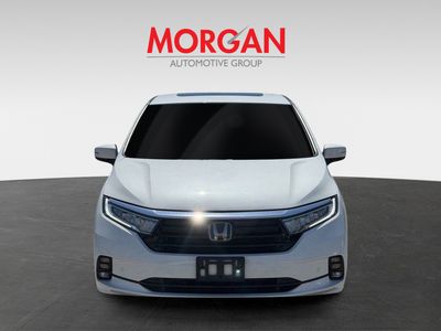 2022 Honda Odyssey — side profile view
