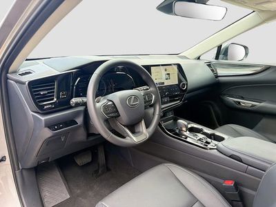 2025 Lexus NX — photo 25 view