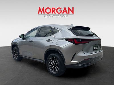 2025 Lexus NX — detail view