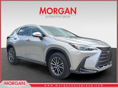 2025 Lexus NX 350 Premium in Silver — front three-quarter view