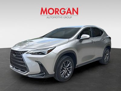2025 Lexus NX — photo 7 view